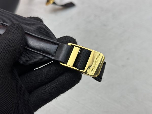 LV Backpack
