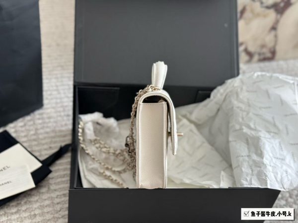 Chanel 25C Clutch with Chain
