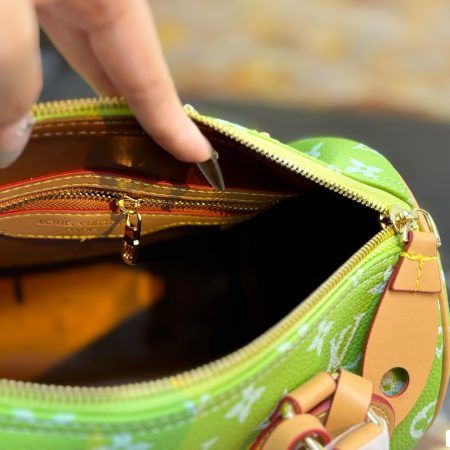 LV Speedy Pillow Bag - Image 16