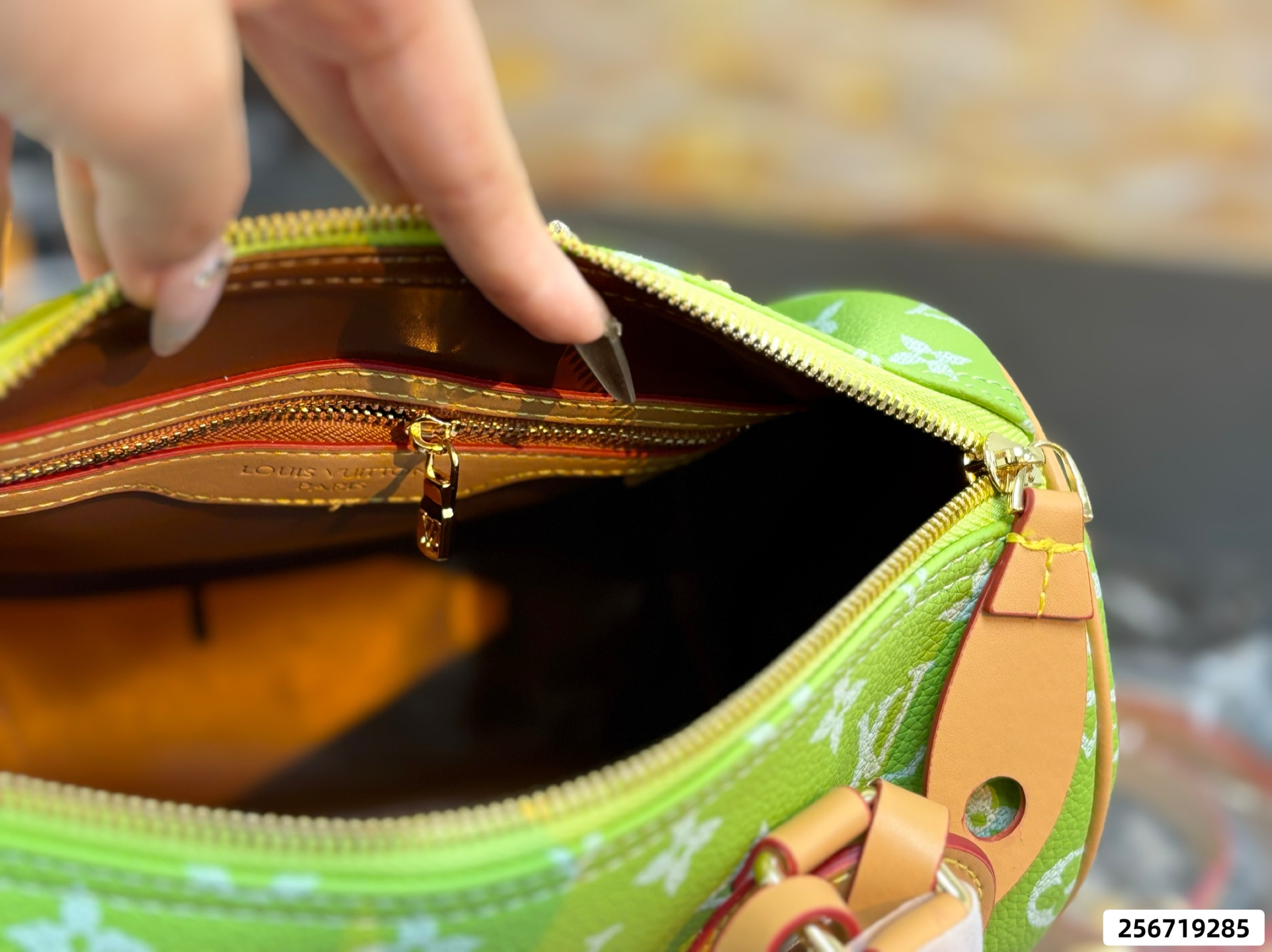 LV Speedy Pillow Bag - Image 16