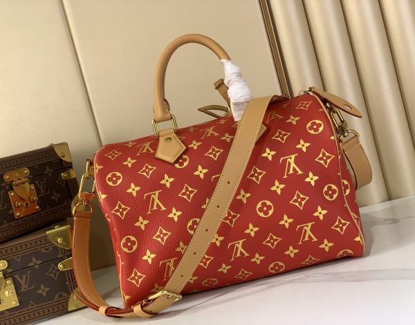 LV Speedy P9 Bandoulière 30 Bag