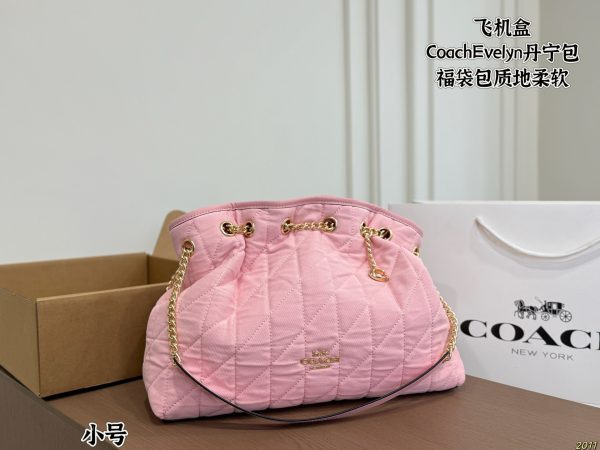Coach Evelyn Denim Lucky Bag