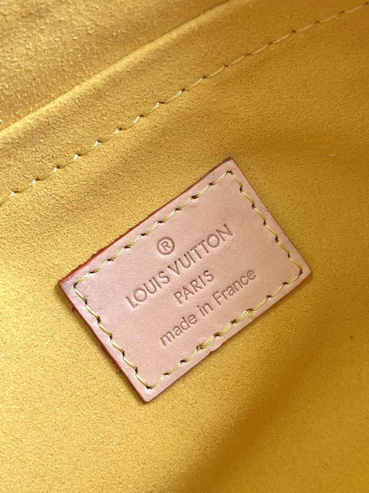 LV Monogram Denim Mini Pleaty Shoulder Bag - Image 9
