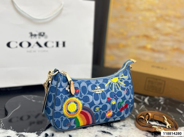 Coach Teri Crossbody Bag