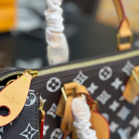 LV Speedy Pillow Bag - Image 15