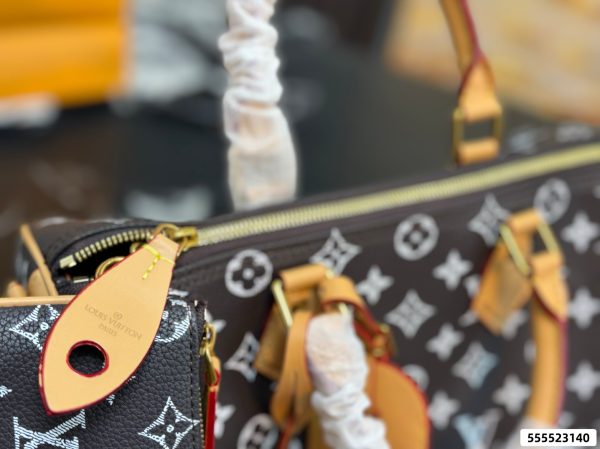LV Speedy Pillow Bag