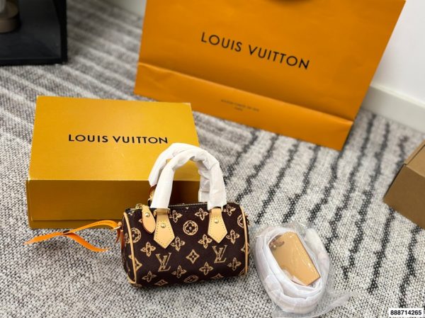 LV Speedy Denim Bag
