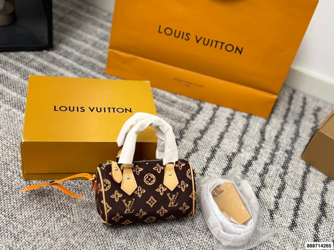 LV Speedy Denim Bag - Image 3