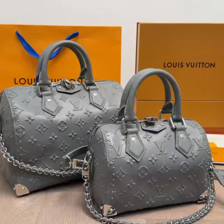 LV Speedy Studded Cushion Bag