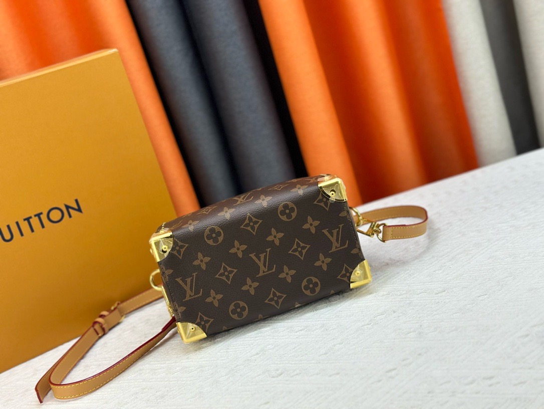 LV Speedy Trunk 20 Monogram Canvas Bag - Image 13