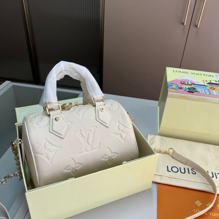 LV Speedy 20 Handbag