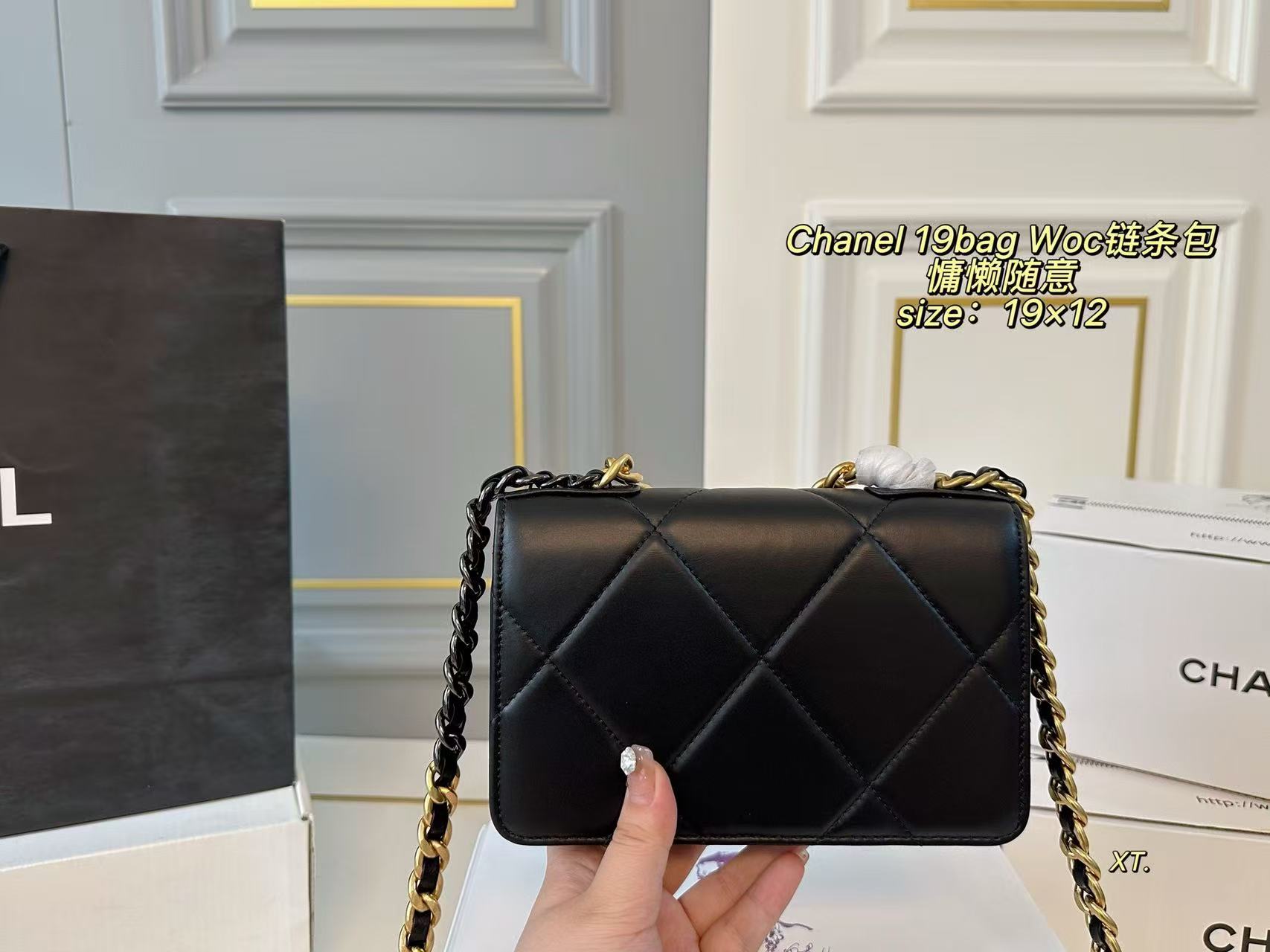 Chanel 19 Bag WOC Wallet on Chain - Image 4