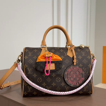 LV Speedy Soft Pillowcase