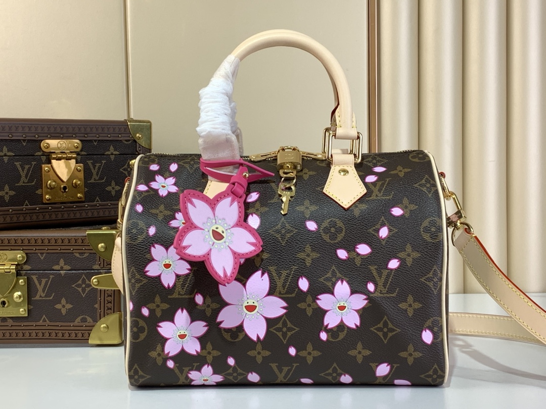LV x TM Speedy 25 Bag - Image 1