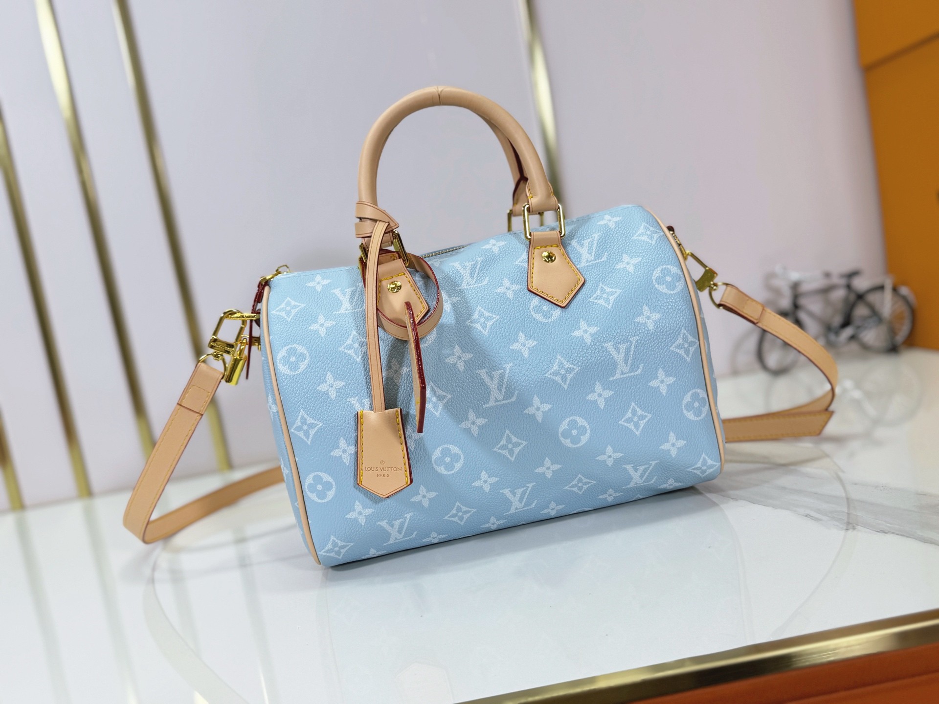 LV Speedy P9 25cm Bag - Image 2