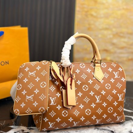 LV Speedy Pillow Bag - Image 7