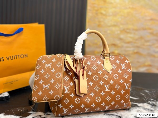 LV Speedy Pillow Bag