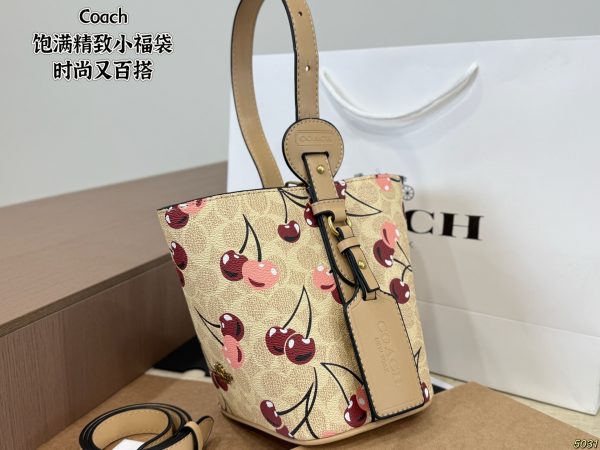 Coach Mini Lucky Bag