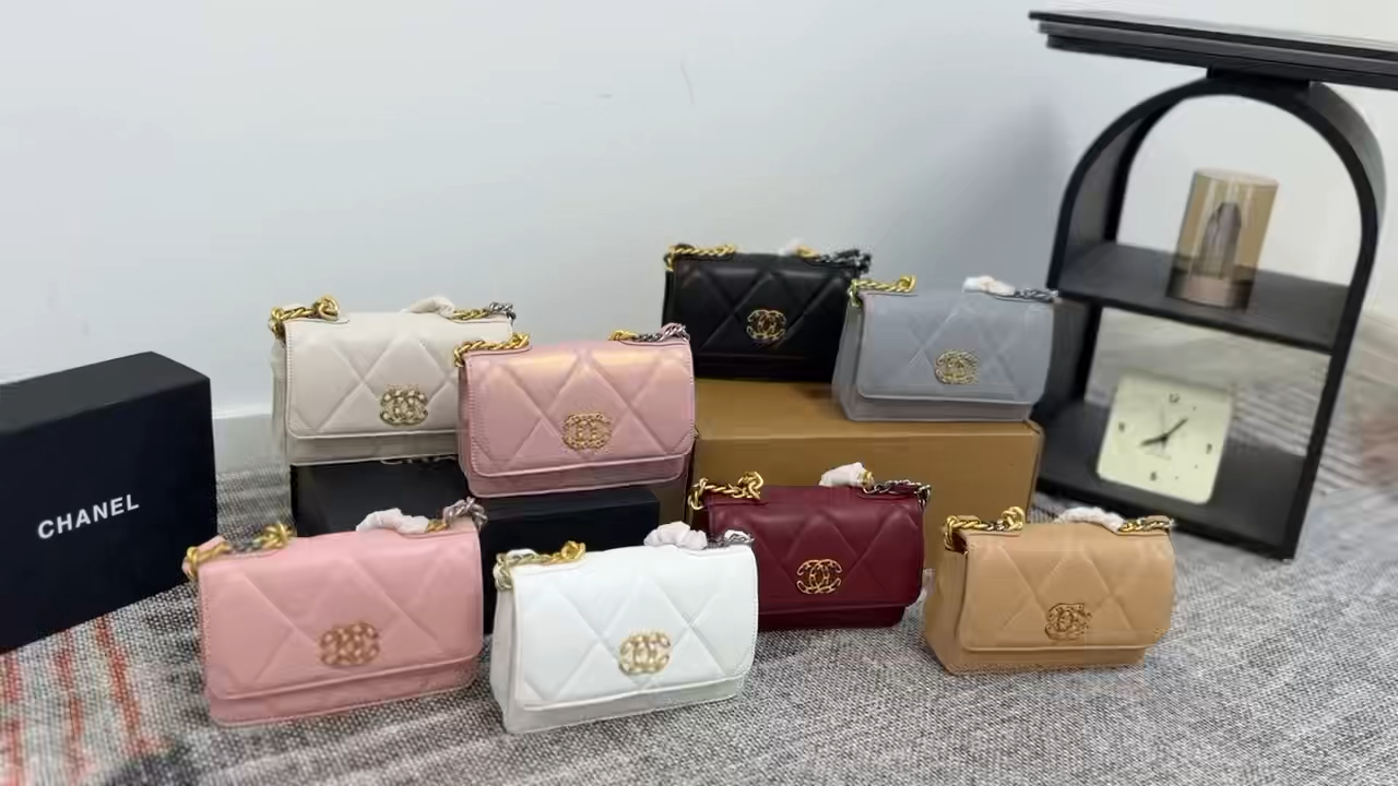 Chanel 19 Woc fortune bag - Image 2