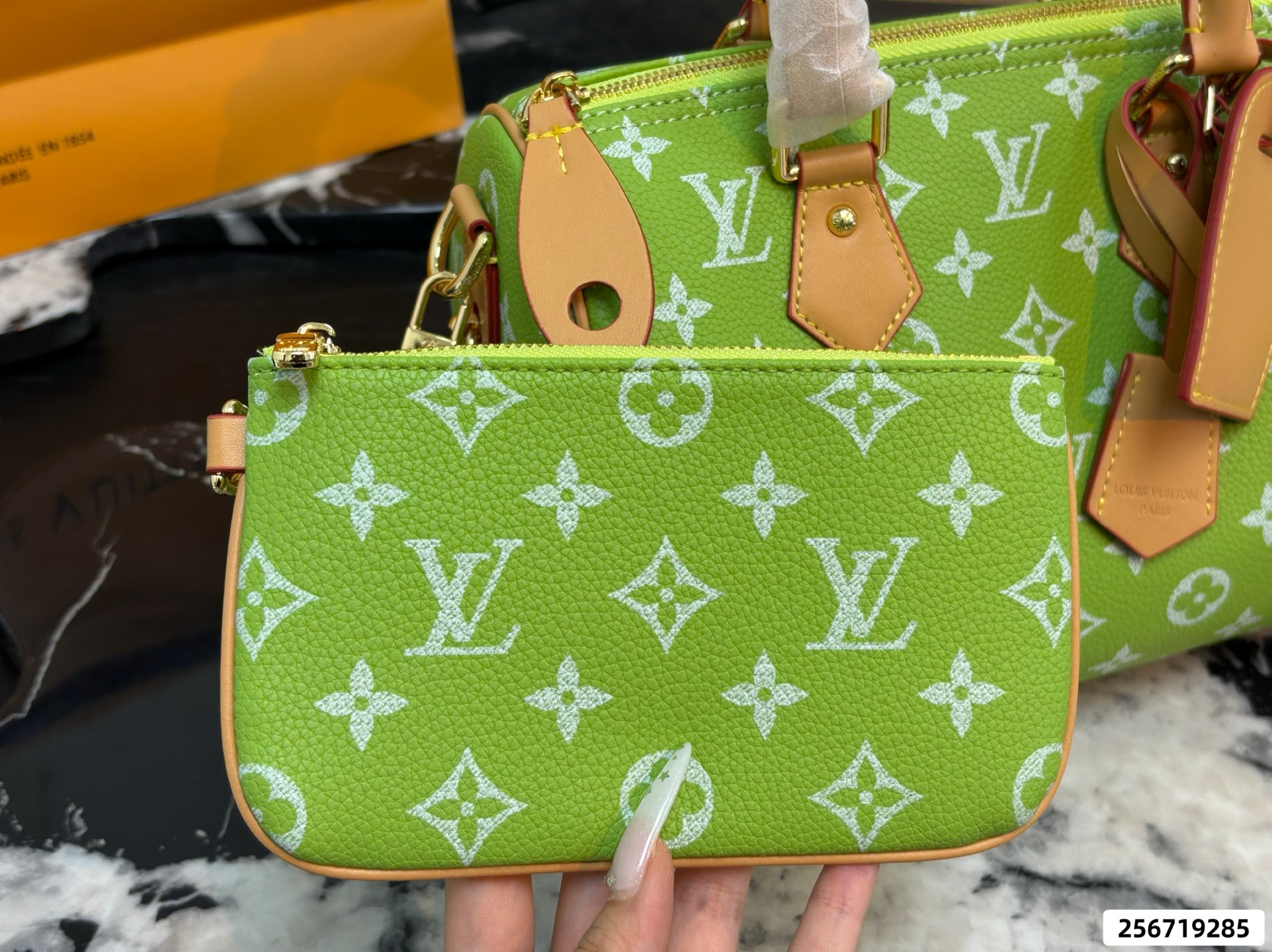 LV Speedy Pillow Bag - Image 15