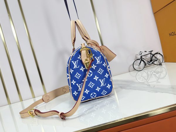 LV Speedy Bandoulière 25 Bag