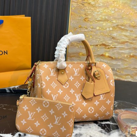 LV Speedy Pillow Bag - Image 2