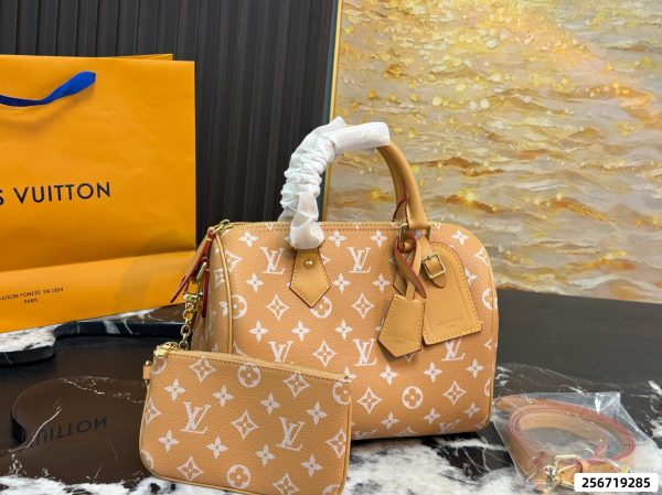 LV Speedy Pillow Bag