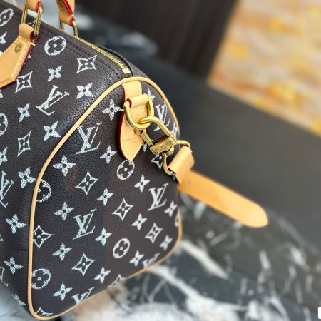 LV Speedy Pillow Bag - Image 9