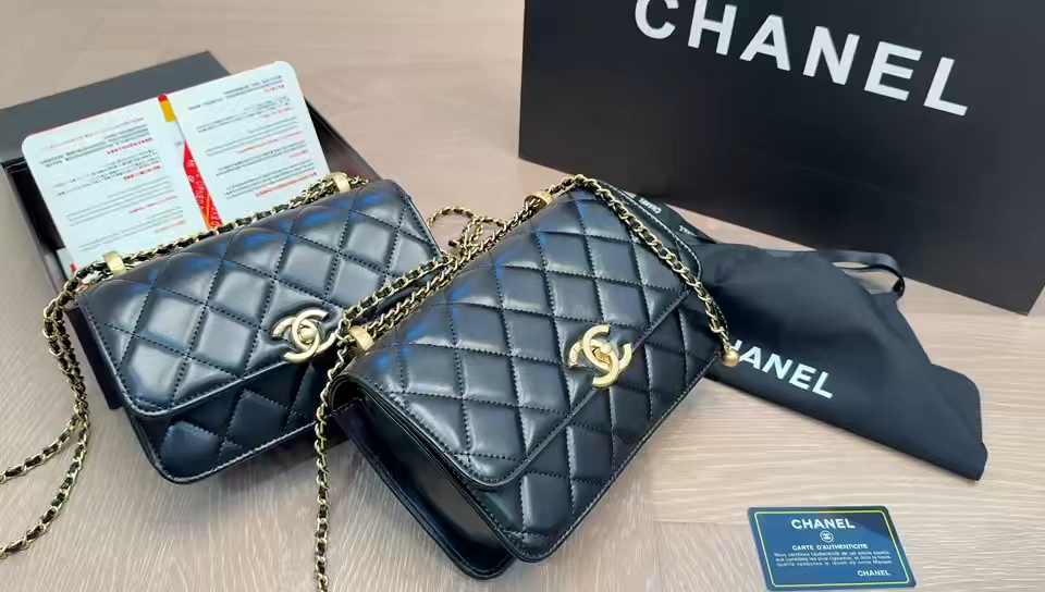 Chanel Golden Globe Bag - Image 1