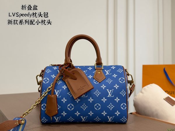 LV Speedy Pillow Bag