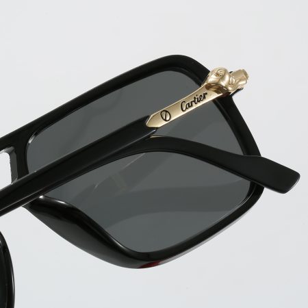 Catier Fashionable Sunglasses - Image 9