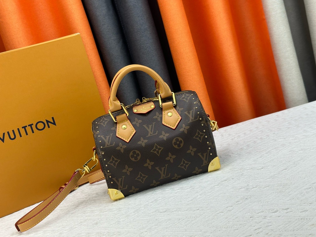 LV Speedy Trunk 20 Monogram Canvas Bag - Image 8