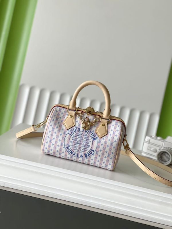 LV Mini Pillow Bag