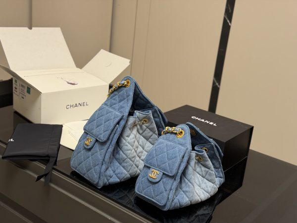 Chanel 25 Mini Hobo Bag