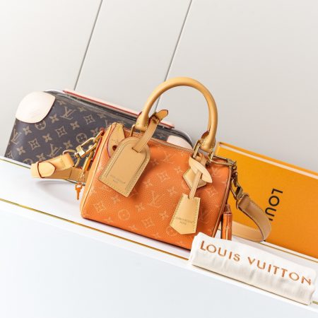 LV Speedy Bandoulière 20 Handbag