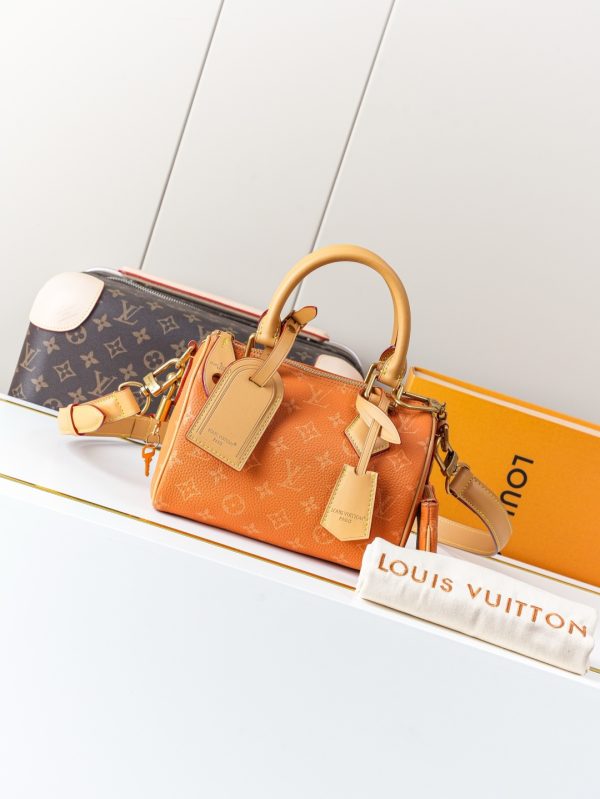 LV Speedy Bandoulière 20 Handbag