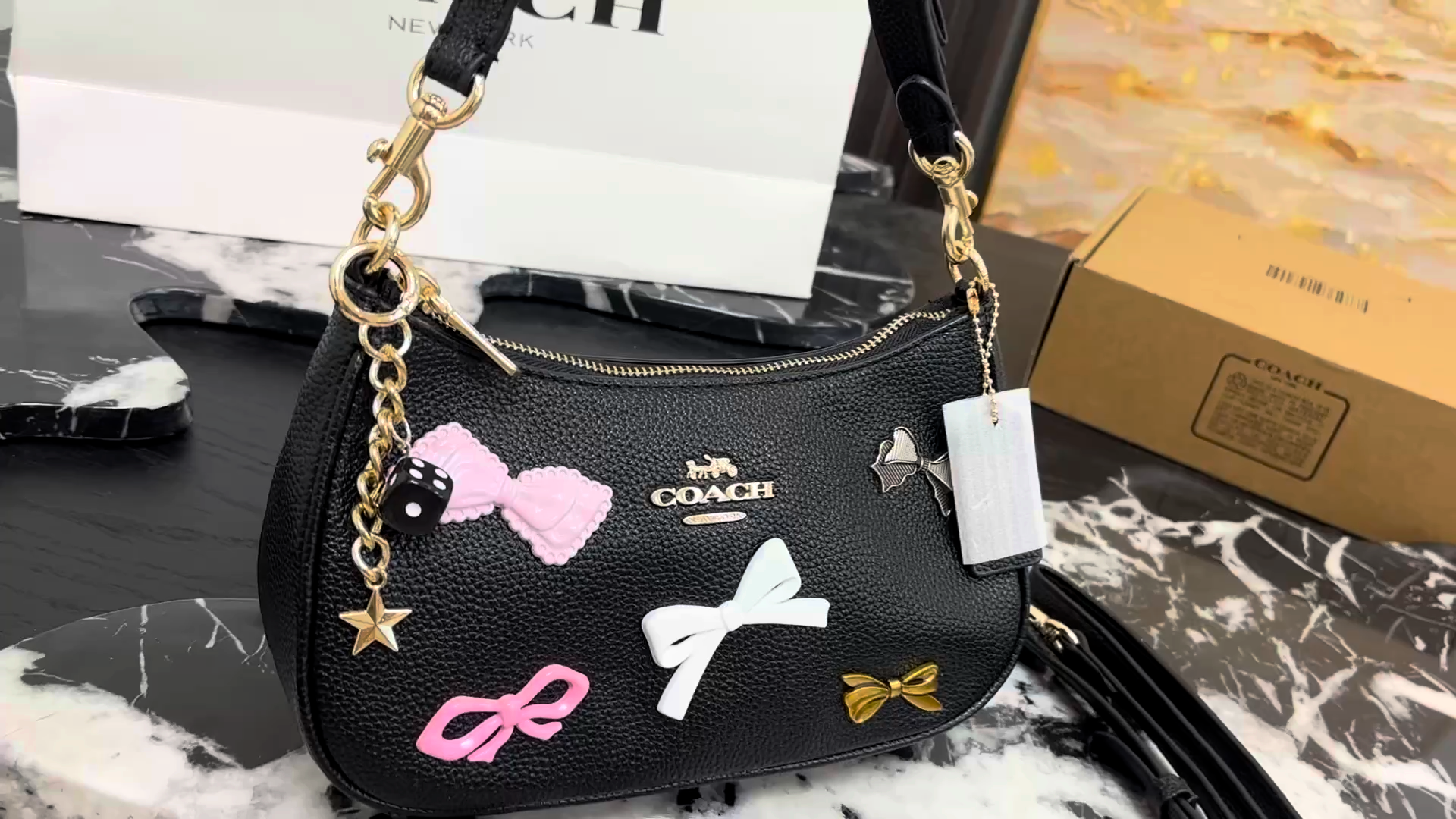 Coach Teri Crossbody Bag - Image 1