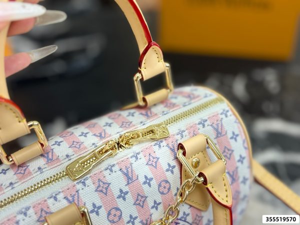 LV Speedy Soft 20 Pillow Case