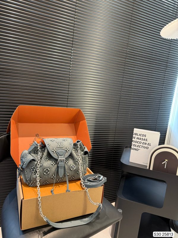 LV Paris fashion bag