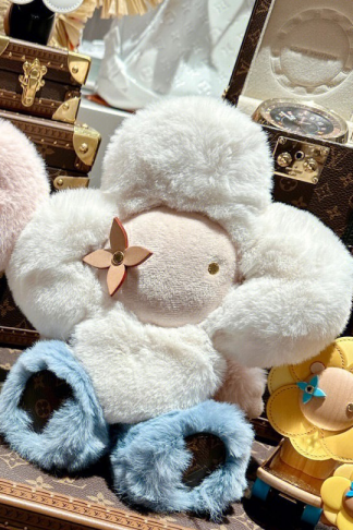 LV Accessories