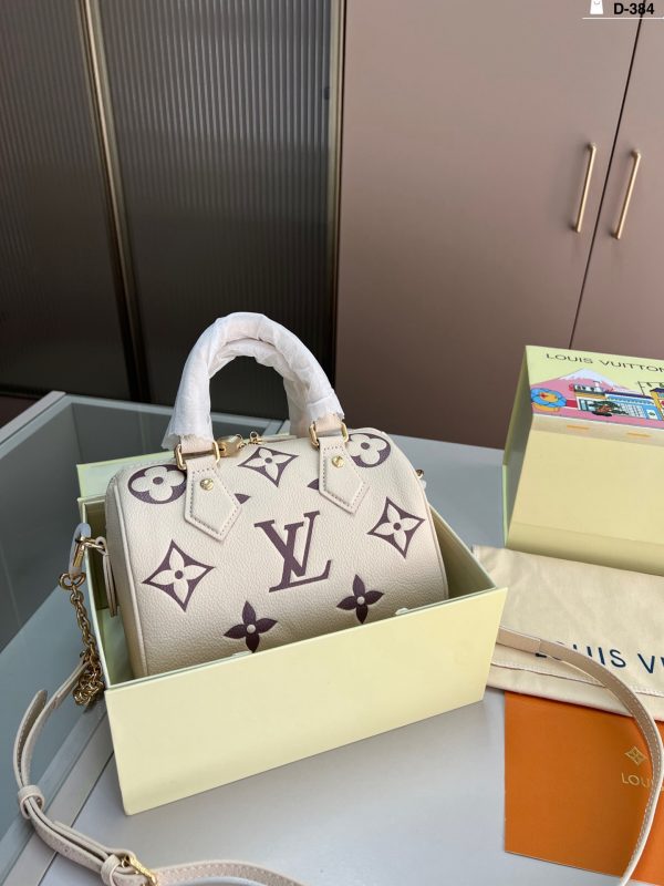 LV Speedy 20 Handbag