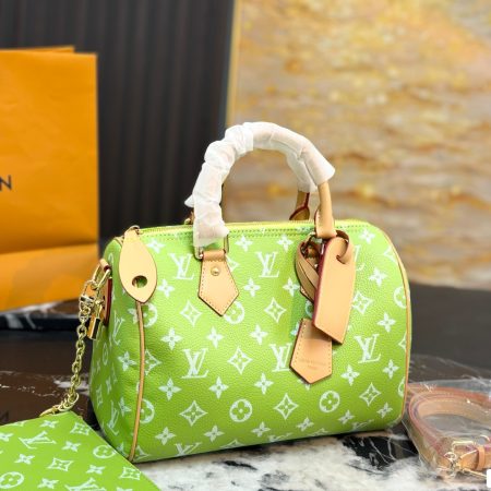 LV Speedy Pillow Bag - Image 1