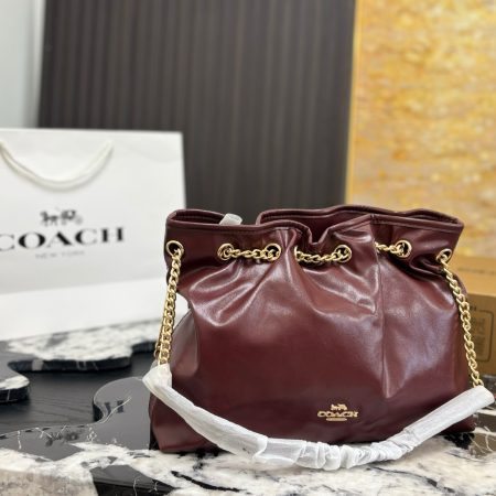 Coach Evelyn Chain Lucky Bag - Image 3