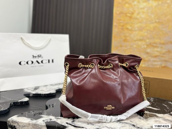 Coach Evelyn Chain Lucky Bag
