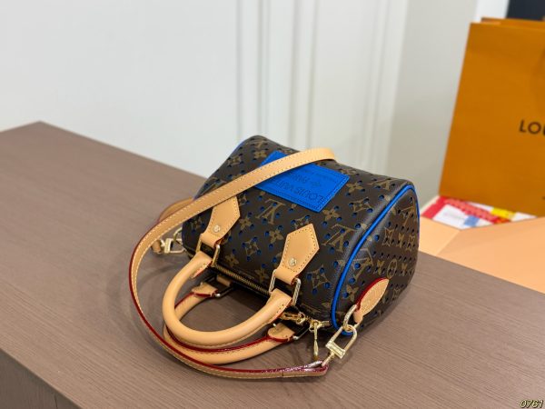 LV Speedy Pillow Bag