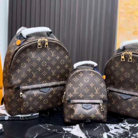 LV Palm Springs Mini Backpack - Image 1