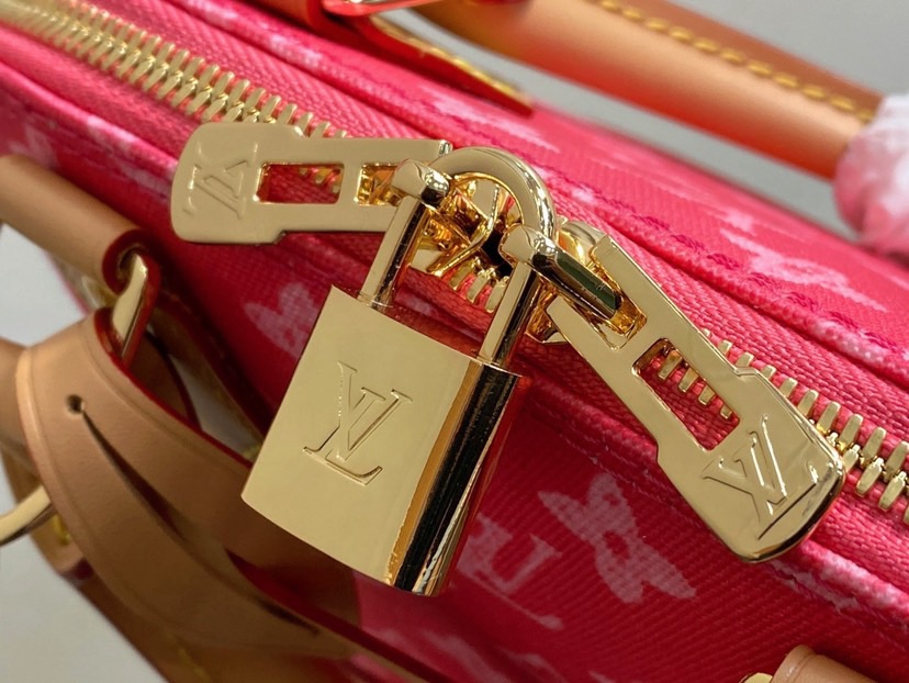 LV Alma BB Other Monogram Anniversary Canvas - Image 9