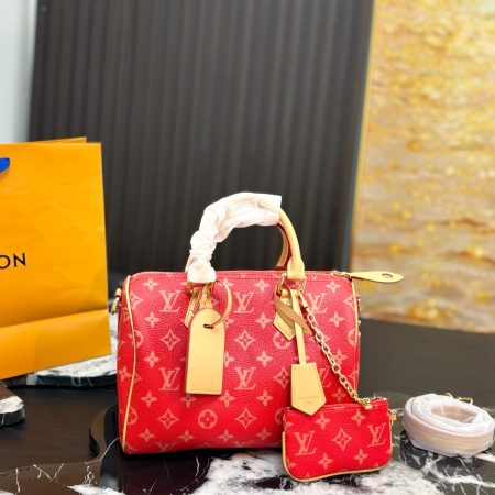 LV Speedy 25 Bag