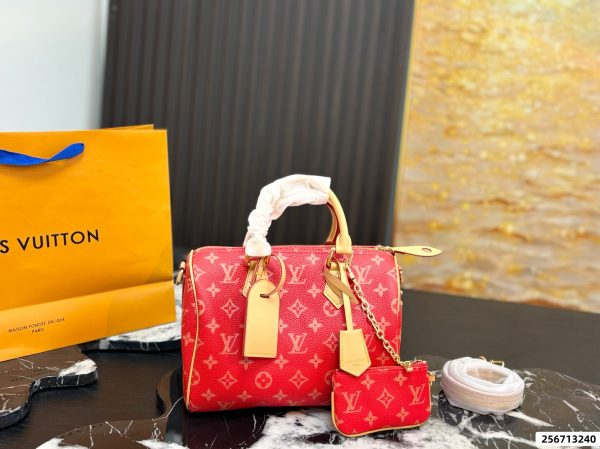 LV Speedy 25 Bag