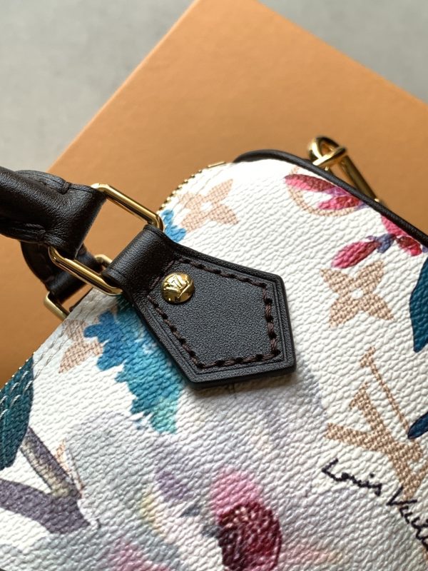 LV Nano Speedy Bag